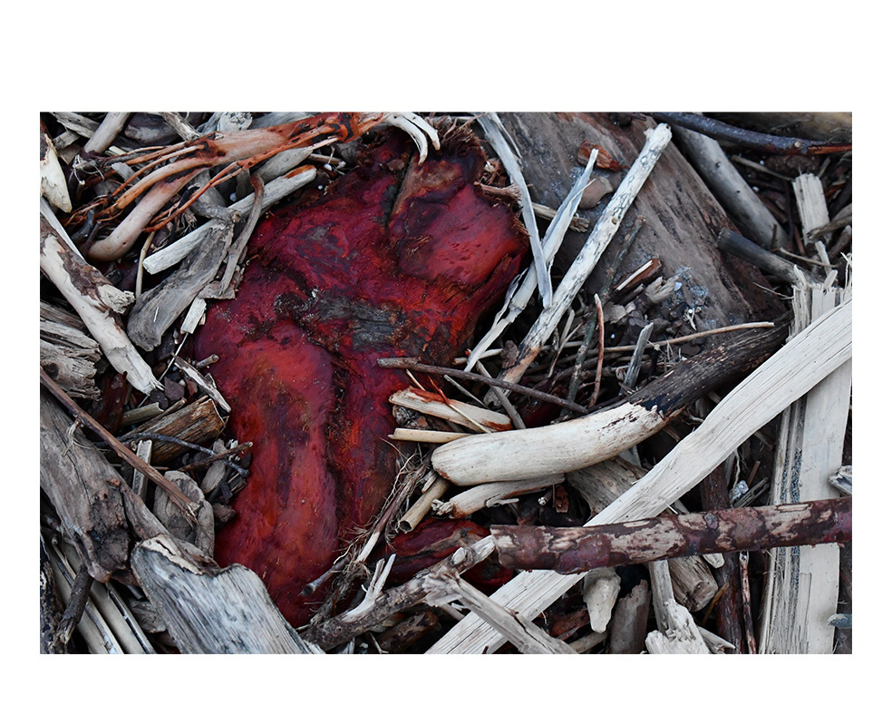 Tatjana Sonjov - Photo Série Ma-trist-ère - 2020