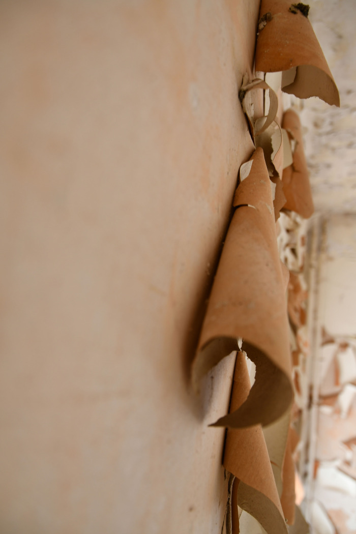 TTatjana Sonjov - Photo série Murs Murs Peaux - Confinement 2021