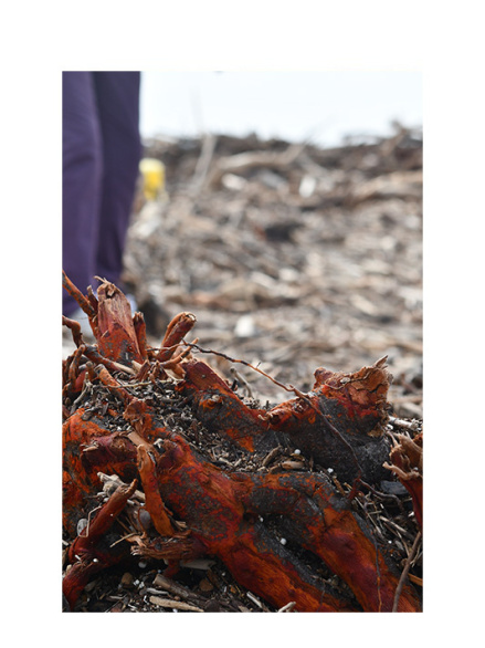 Tatjana Sonjov - Photo Série Ma-trist-ère - 2020