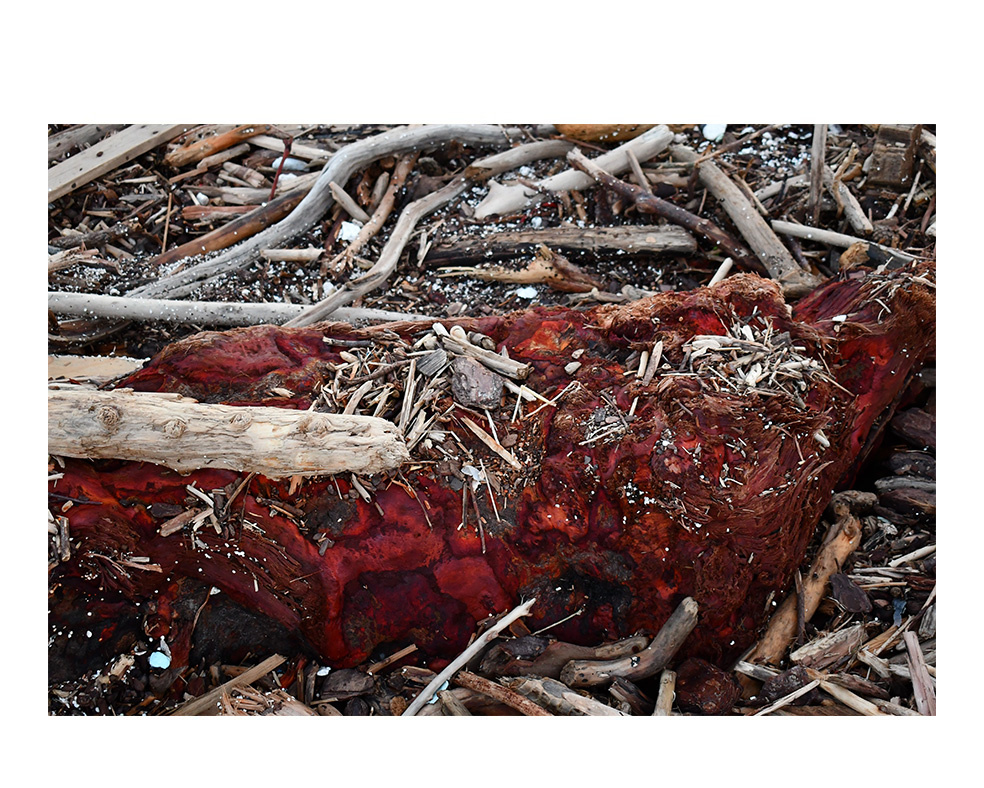 Tatjana Sonjov - Photo Série Ma-trist-ère - 2020