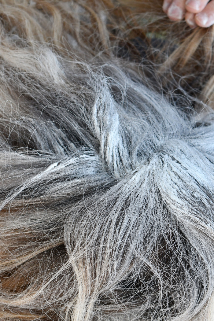 Tatjana Sonjov - Photo Série Mon Chauve - Confinement 2020