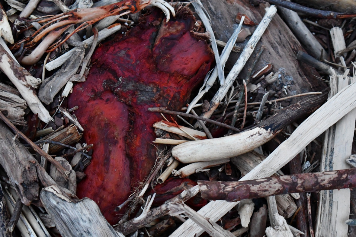 Tatjana Sonjov - Photo Série Ma-trist-ère - Saint-Laurent du Var 2020