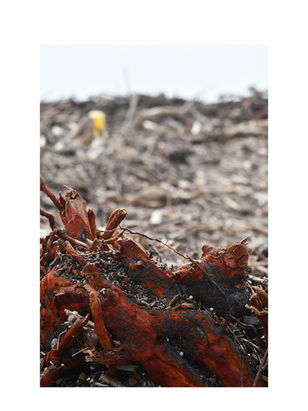 Tatjana Sonjov - Photo Série Ma-trist-ère - 2020