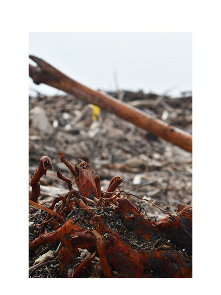 Tatjana Sonjov - Photo Série Ma-trist-ère - 2020