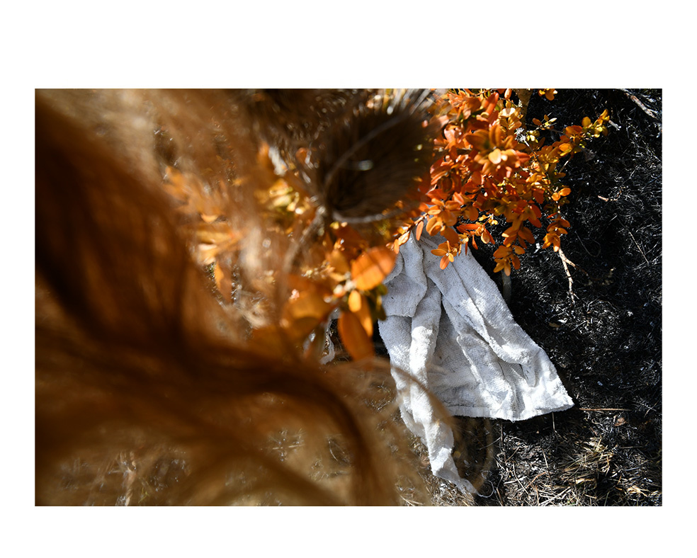 Tatjana Sonjov - Photo Série Chardonnière - 2021