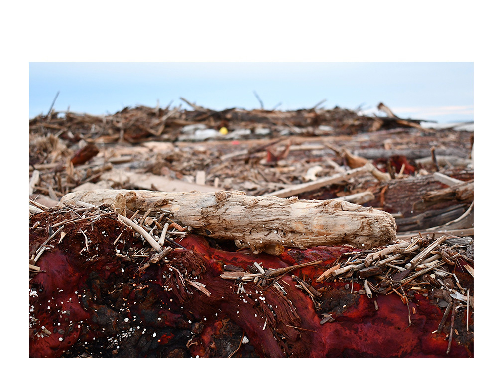 Tatjana Sonjov - Photo Série Ma-trist-ère - 2020