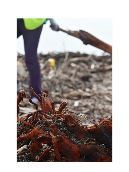 Tatjana Sonjov - Photo Série Ma-trist-ère - 2020