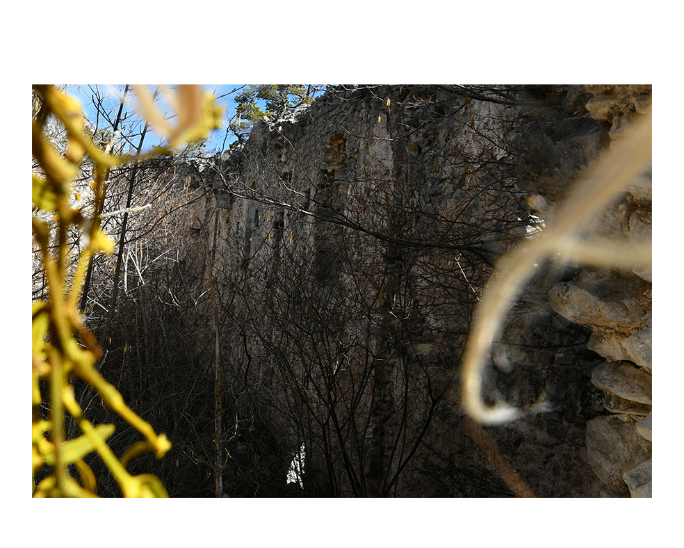Tatjana Sonjov - Photo Série Chardonnière - 2021