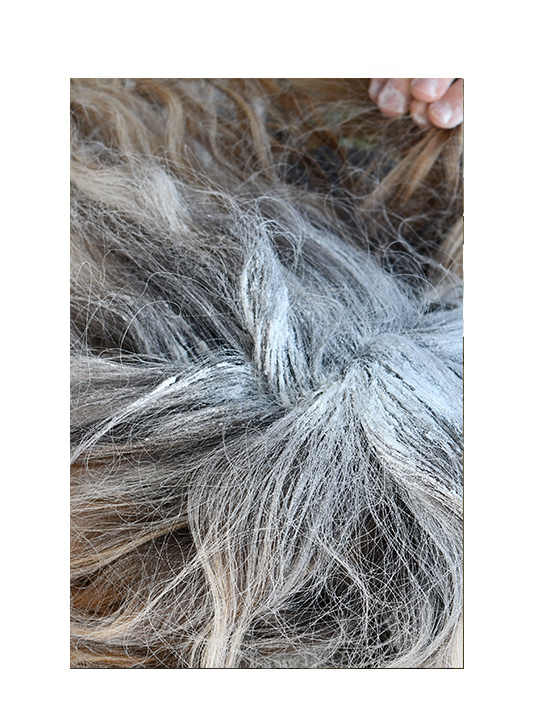 Tatjana Sonjov - Photo Série Murs murs peaux - 2021