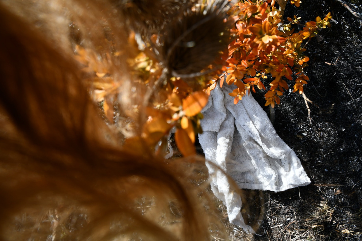 Tatjana Sonjov - Photo Série Chardonnière - 2021