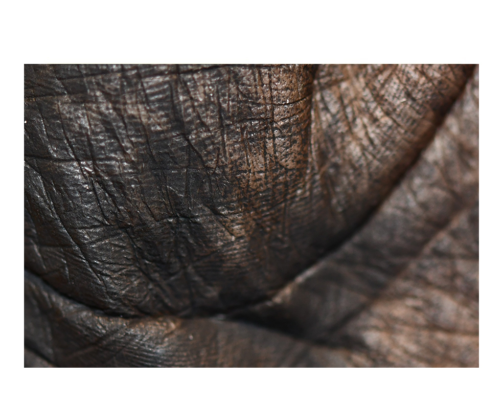 Tatjana Sonjov - Photo Série Murs murs peaux - 2021